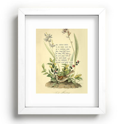 Bird Divinations: Field Bunting (about: almanacofbirds.org) Framed Art Print Gallery Image 76