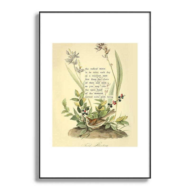 Bird Divinations: Field Bunting (about: almanacofbirds.org) Framed Art Print Gallery Image 87