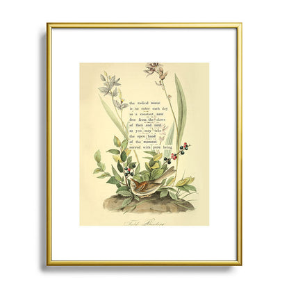 Bird Divinations: Field Bunting (about: almanacofbirds.org) Framed Art Print Gallery Image 88