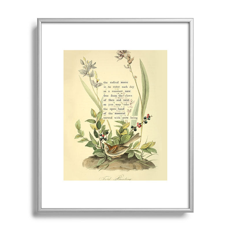 Bird Divinations: Field Bunting (about: almanacofbirds.org) Framed Art Print Gallery Image 95