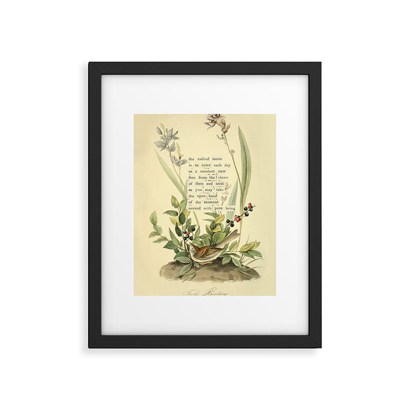 Bird Divinations: Field Bunting (about: almanacofbirds.org) Framed Art Print Gallery Image 4