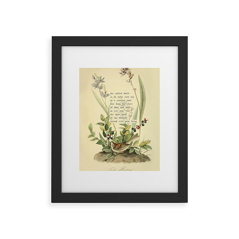 Bird Divinations: Field Bunting (about: almanacofbirds.org) Framed Art Print Gallery Image 34