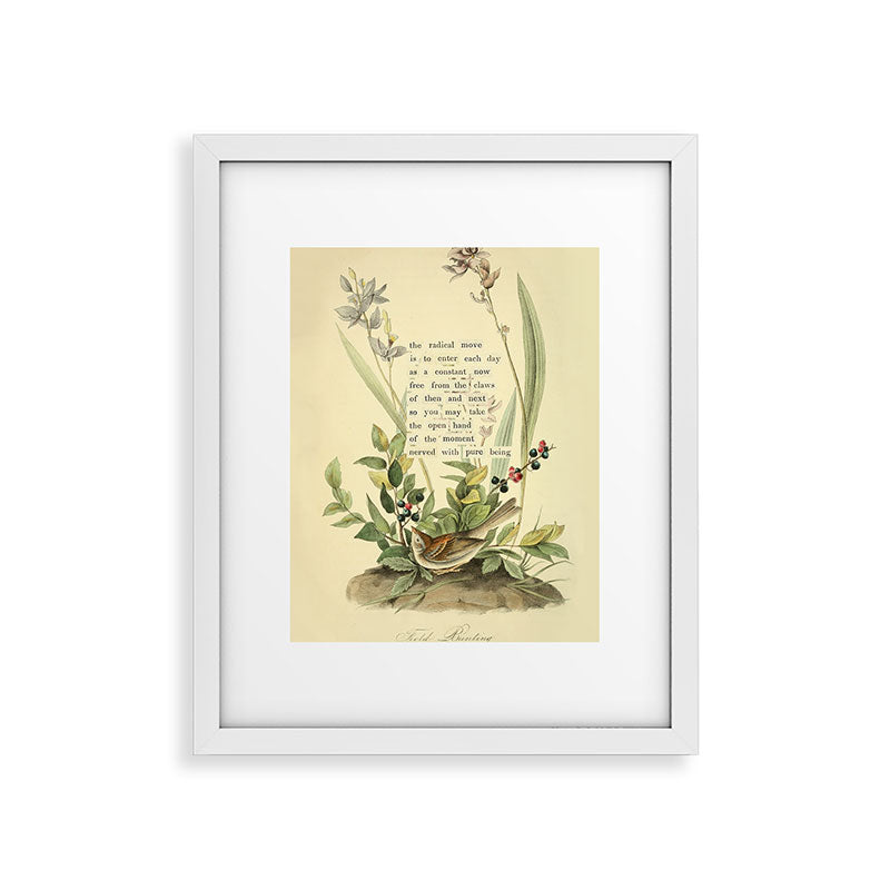 Bird Divinations: Field Bunting (about: almanacofbirds.org) Framed Art Print Gallery Image 22