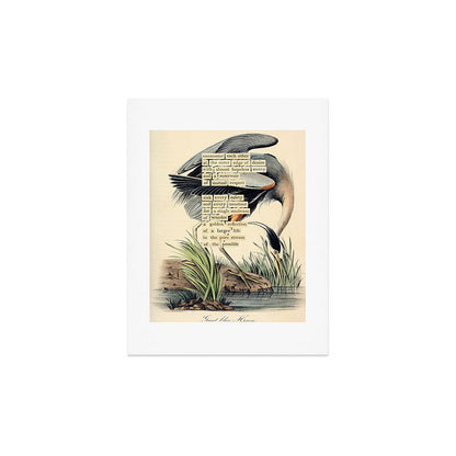Bird Divinations: Great Blue Heron (about: almanacofbirds.org) Art Print Gallery Image 3