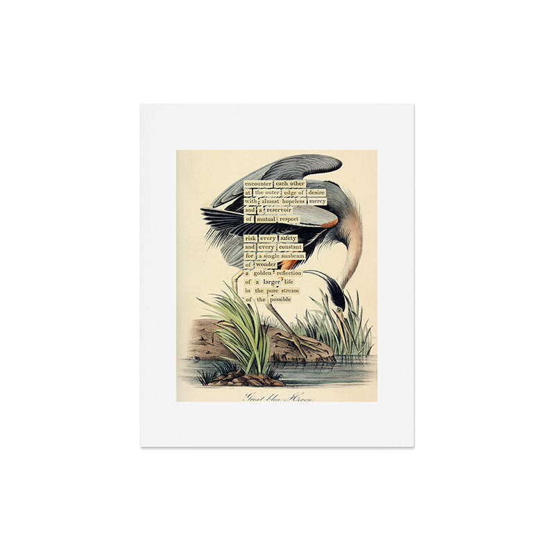 Bird Divinations: Great Blue Heron (about: almanacofbirds.org) Art Print Gallery Image 4