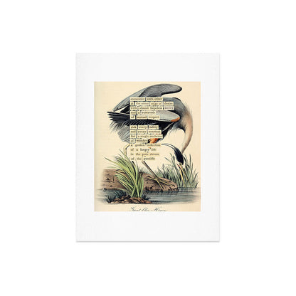 Bird Divinations: Great Blue Heron (about: almanacofbirds.org) Art Print Gallery Image 6