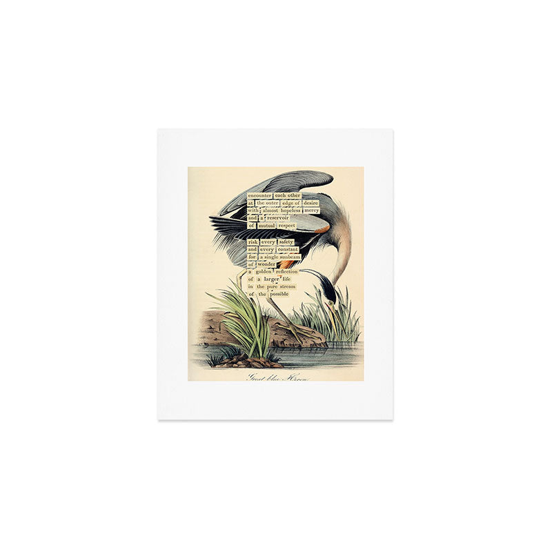 Bird Divinations: Great Blue Heron (about: almanacofbirds.org) Art Print Gallery Image 1