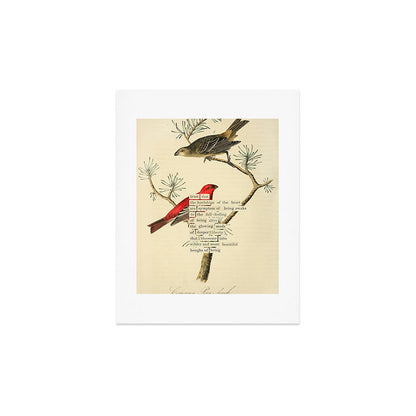 Bird Divinations: Pine Finch (about: almanacofbirds.org) Art Print Gallery Image 2