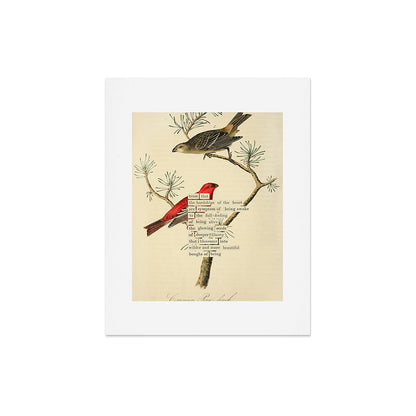 Bird Divinations: Pine Finch (about: almanacofbirds.org) Art Print Gallery Image 5