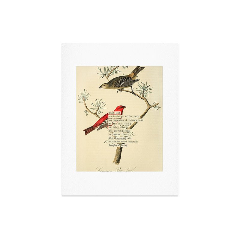 Bird Divinations: Pine Finch (about: almanacofbirds.org) Art Print Gallery Image 6