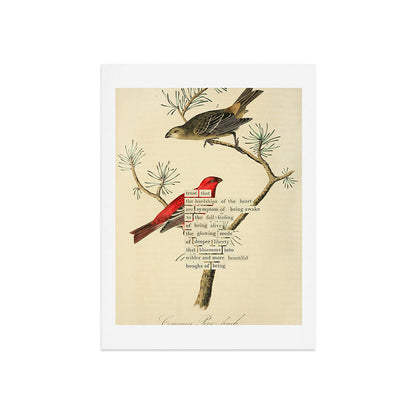 Bird Divinations: Pine Finch (about: almanacofbirds.org) Art Print Gallery Image 7