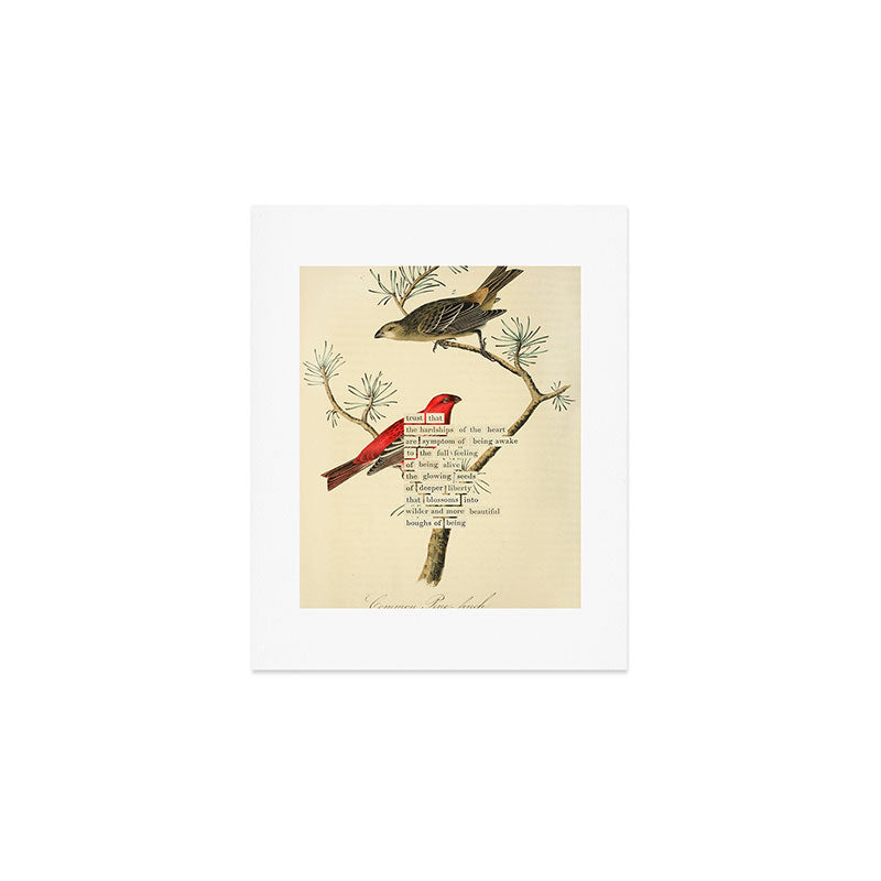 Bird Divinations: Pine Finch (about: almanacofbirds.org) Art Print Gallery Image 1