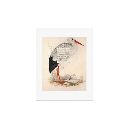 Bird Divinations: White Stork (about: almanacofbirds.org) Art Print Gallery Image 3