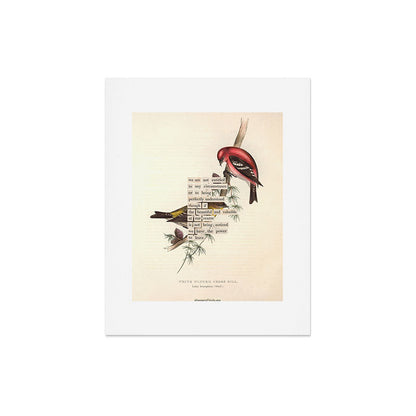 Bird Divinations: White-Winged Cross Bill (about: almanacofbirds.org) Art Print Gallery Image 5
