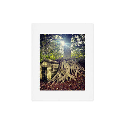 Possible Certainties Art Print Gallery Image 5