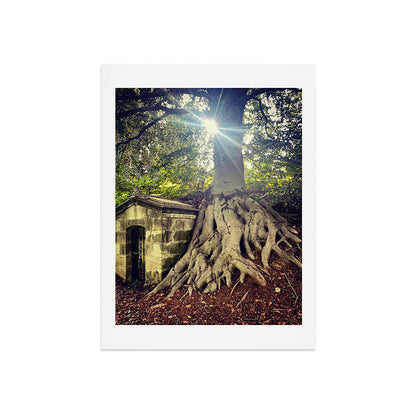 Possible Certainties Art Print Gallery Image 7
