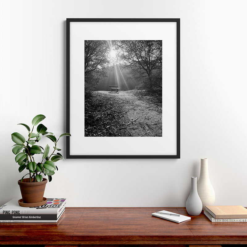 "Sunlit Solitude" by Maria Popova Framed Art Print Gallery Image 7