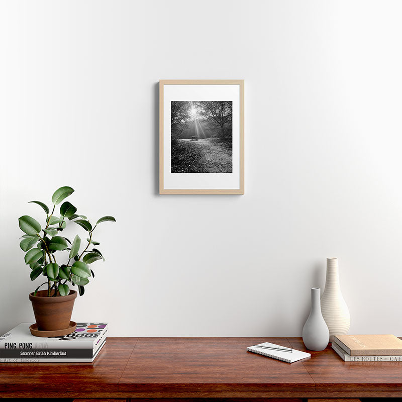 "Sunlit Solitude" by Maria Popova Framed Art Print Gallery Image 17
