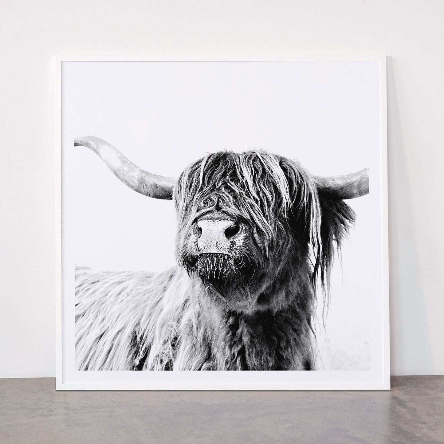 HIGHLAND CATTLE FRIDA Framed Art Print Gallery Image 43