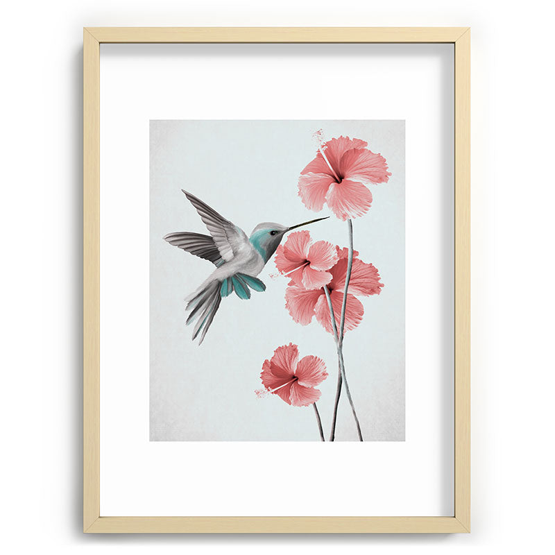Hummingbird with Hibiscus Framed Art Print Gallery Image 72