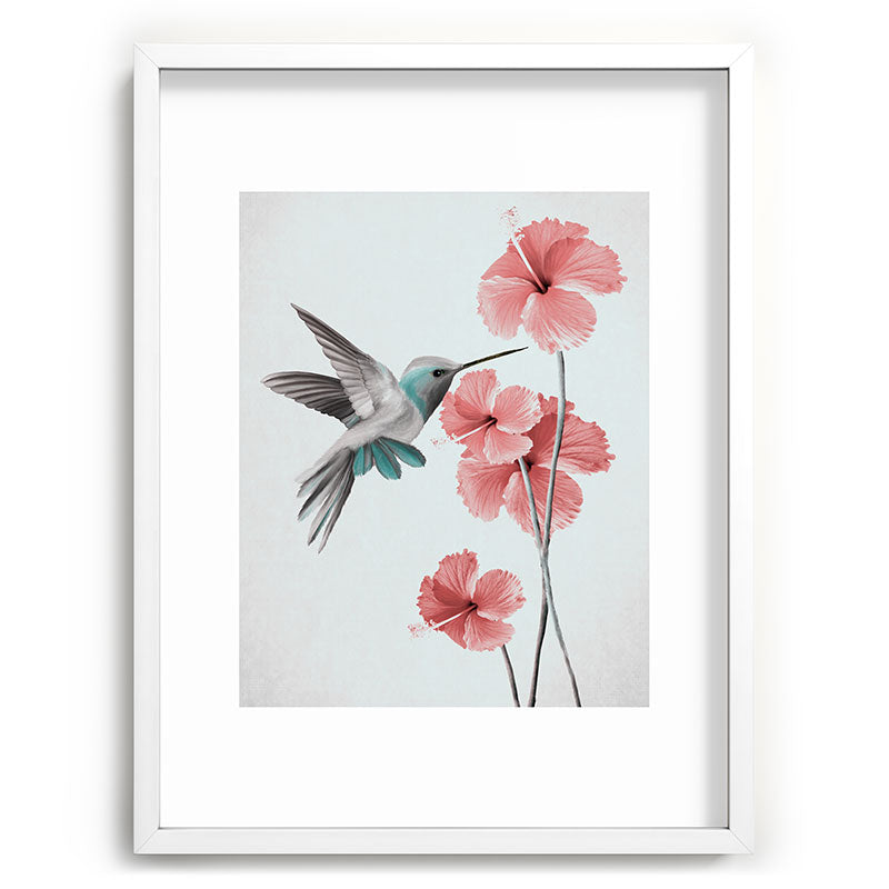 Hummingbird with Hibiscus Framed Art Print Gallery Image 78