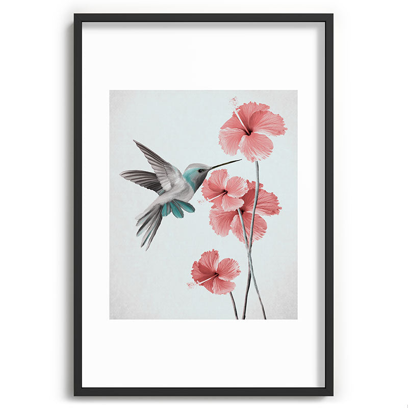 Hummingbird with Hibiscus Framed Art Print Gallery Image 62