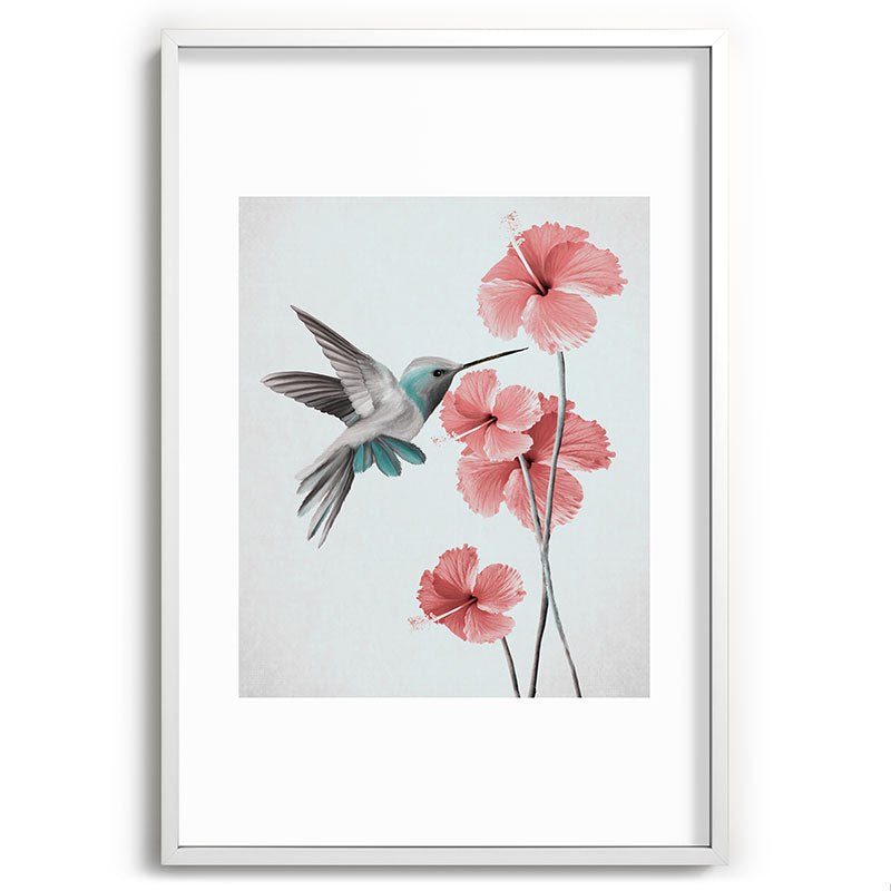 Hummingbird with Hibiscus Framed Art Print Gallery Image 80