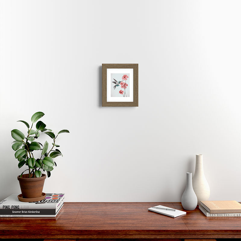 Hummingbird with Hibiscus Framed Art Print Gallery Image 36