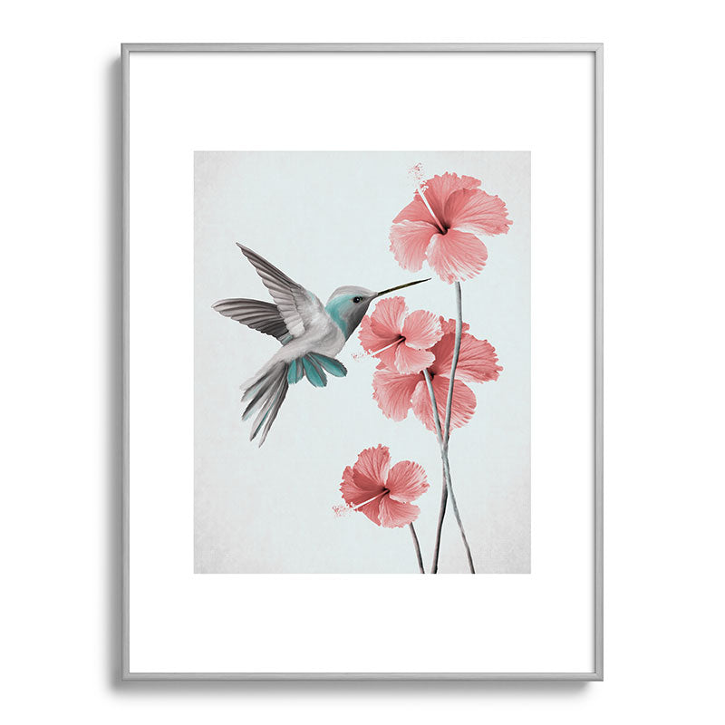 Hummingbird with Hibiscus Framed Art Print Gallery Image 99