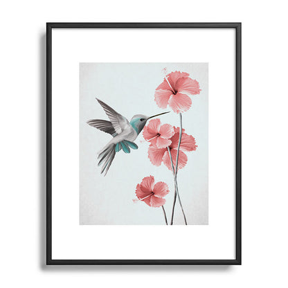 Hummingbird with Hibiscus Framed Art Print Gallery Image 82