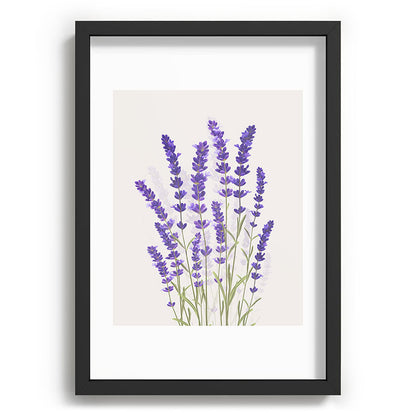 Lavender II Framed Art Print Gallery Image 59
