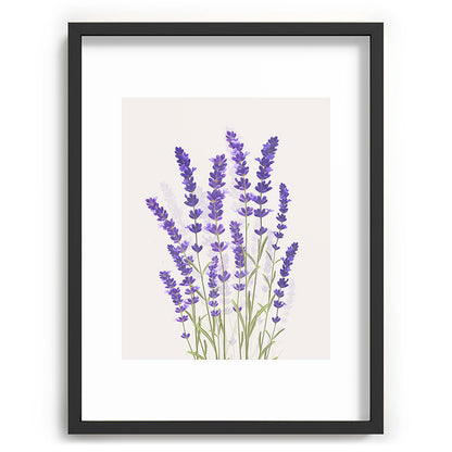 Lavender II Framed Art Print Gallery Image 60