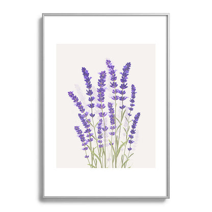 Lavender II Framed Art Print Gallery Image 97