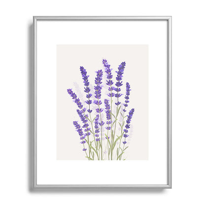 Lavender II Framed Art Print Gallery Image 95