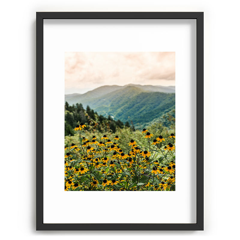 Smoky Mountains Wildflower Nature Photography Framed Art Print Gallery Image 60