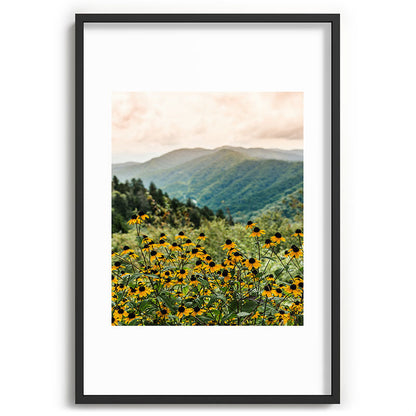 Smoky Mountains Wildflower Nature Photography Framed Art Print Gallery Image 62