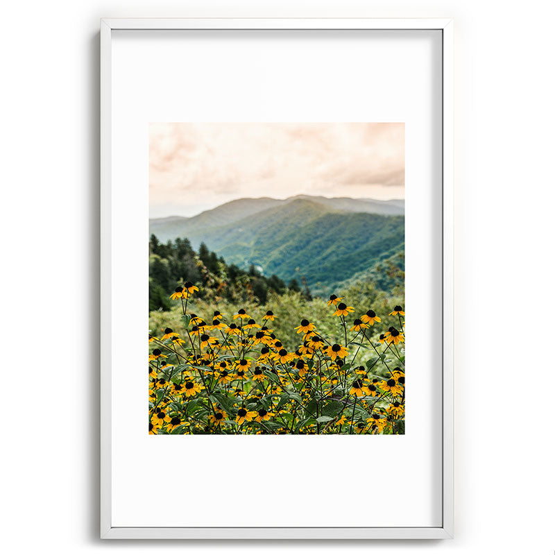 Smoky Mountains Wildflower Nature Photography Framed Art Print Gallery Image 80