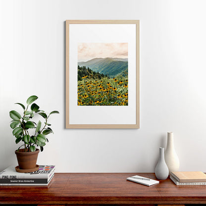 Smoky Mountains Wildflower Nature Photography Framed Art Print Gallery Image 48