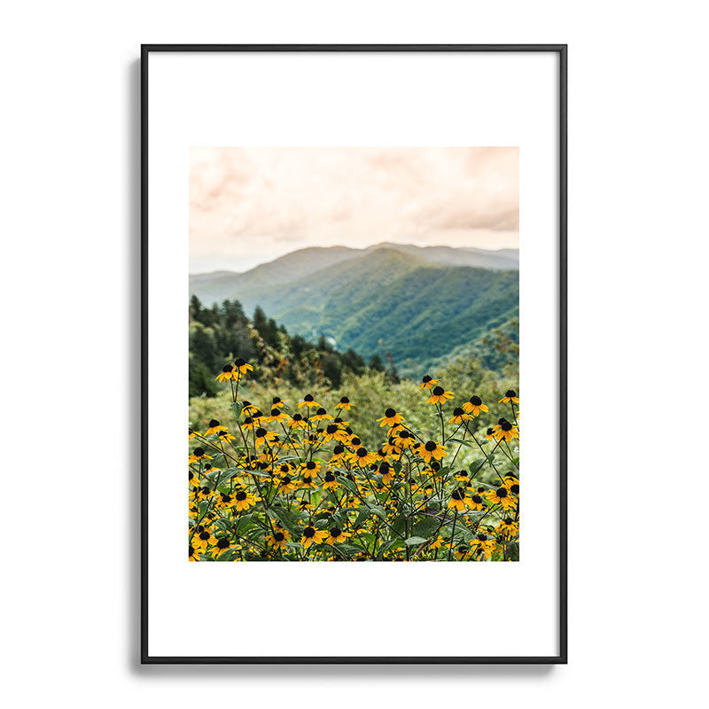 Smoky Mountains Wildflower Nature Photography Framed Art Print Gallery Image 83