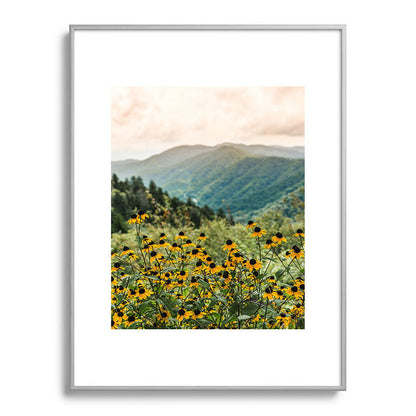 Smoky Mountains Wildflower Nature Photography Framed Art Print Gallery Image 99