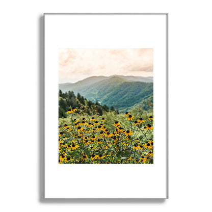 Smoky Mountains Wildflower Nature Photography Framed Art Print Gallery Image 101