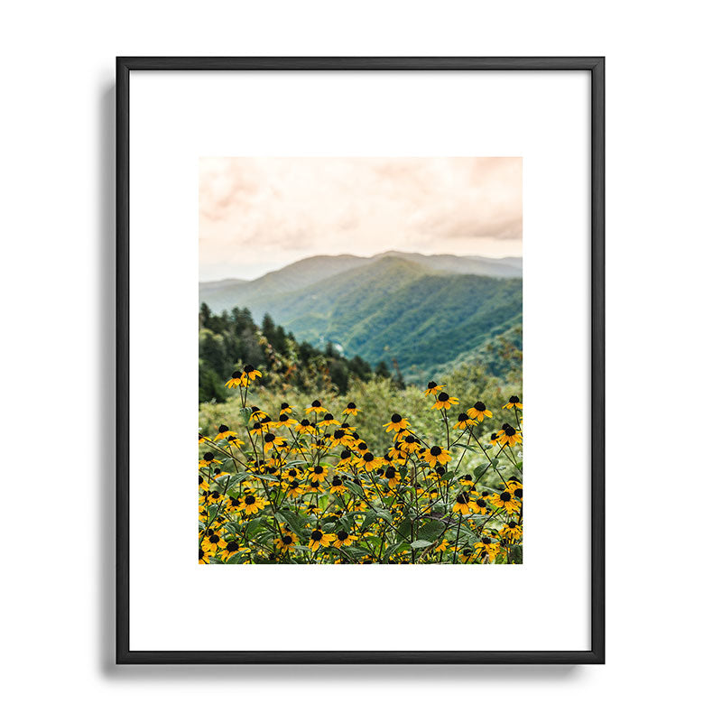 Smoky Mountains Wildflower Nature Photography Framed Art Print Gallery Image 82