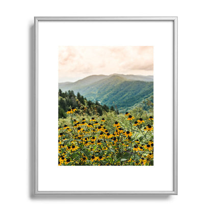 Smoky Mountains Wildflower Nature Photography Framed Art Print Gallery Image 95