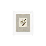 Three Wrens on a Branch Art Print Gallery Image 1