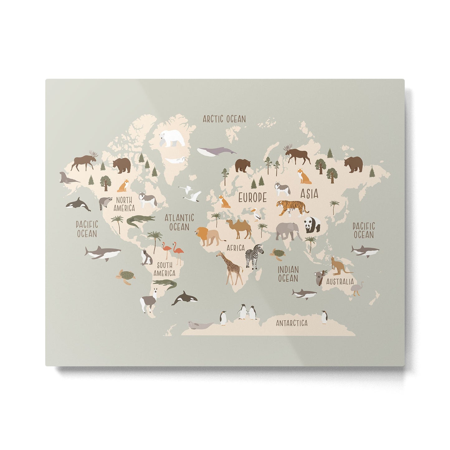 Kids world map with animals in green Metal Print Gallery Image 4