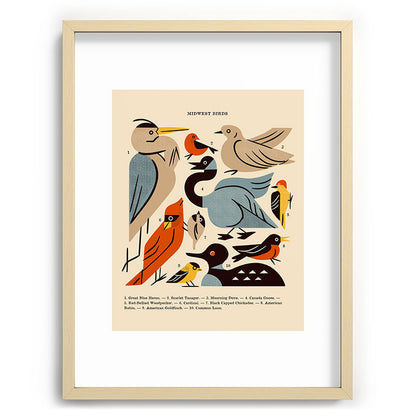 Midwest Birds Guide Framed Art Print Gallery Image 99
