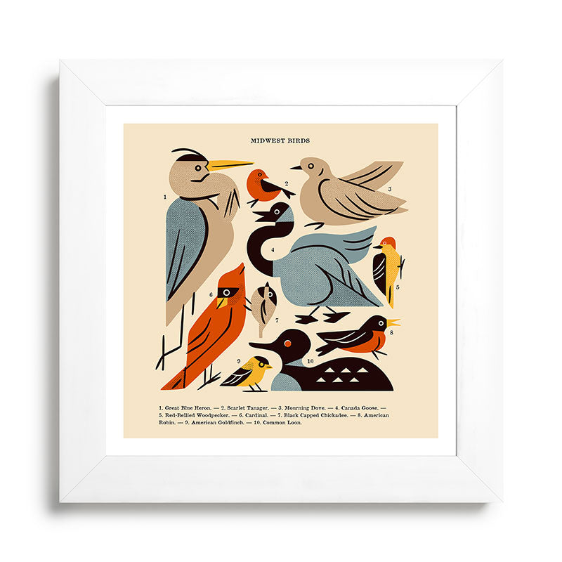 Midwest Birds Guide Framed Art Print Gallery Image 79