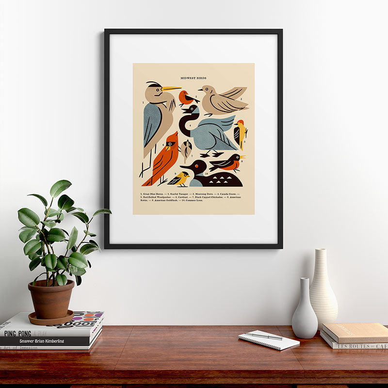 Midwest Birds Guide Framed Art Print Gallery Image 9