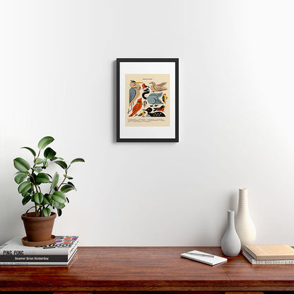 Midwest Birds Guide Framed Art Print Gallery Image 4