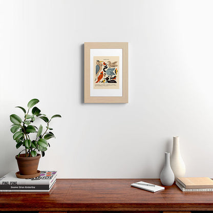 Midwest Birds Guide Framed Art Print Gallery Image 62